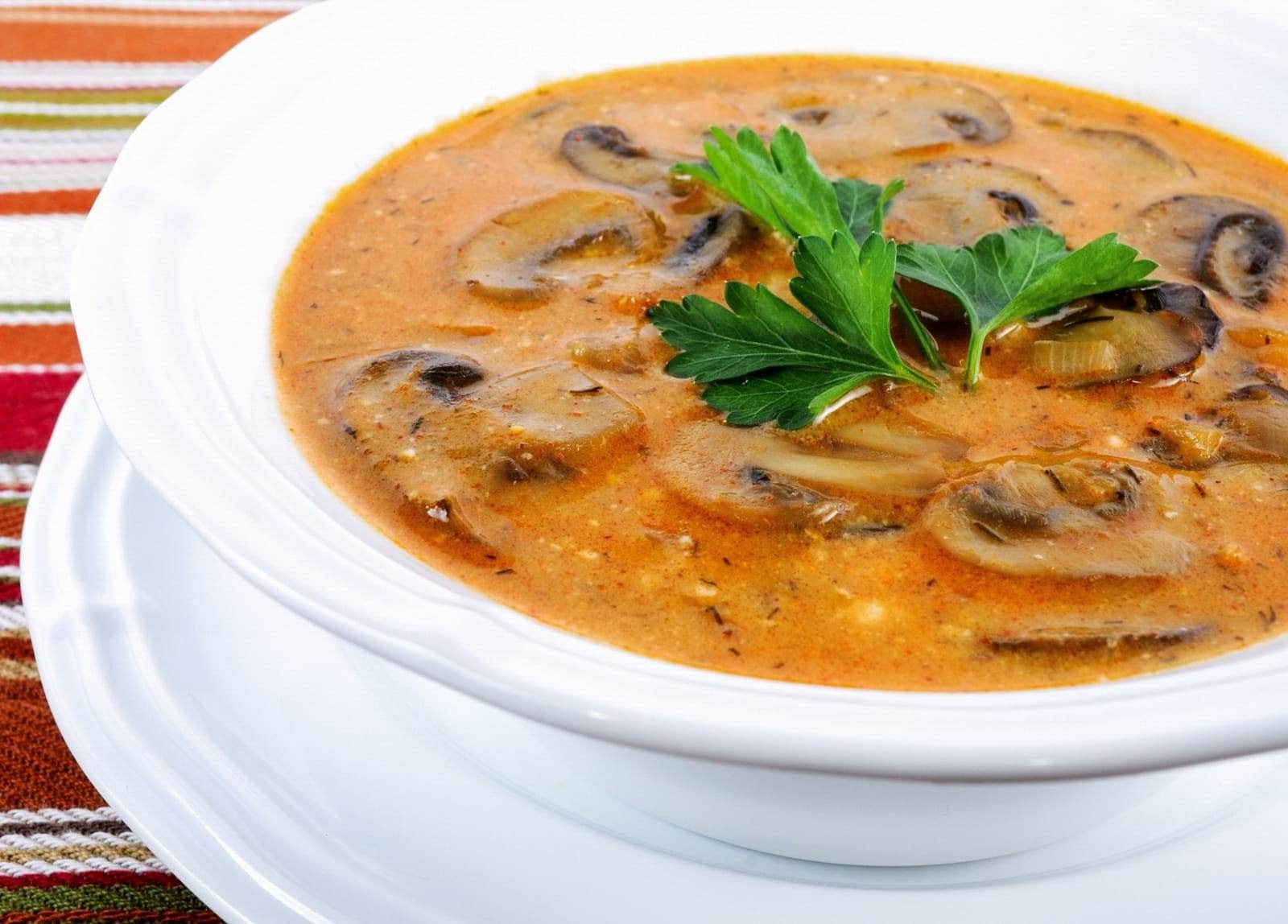 hungarian-mushroom-soup-recipe