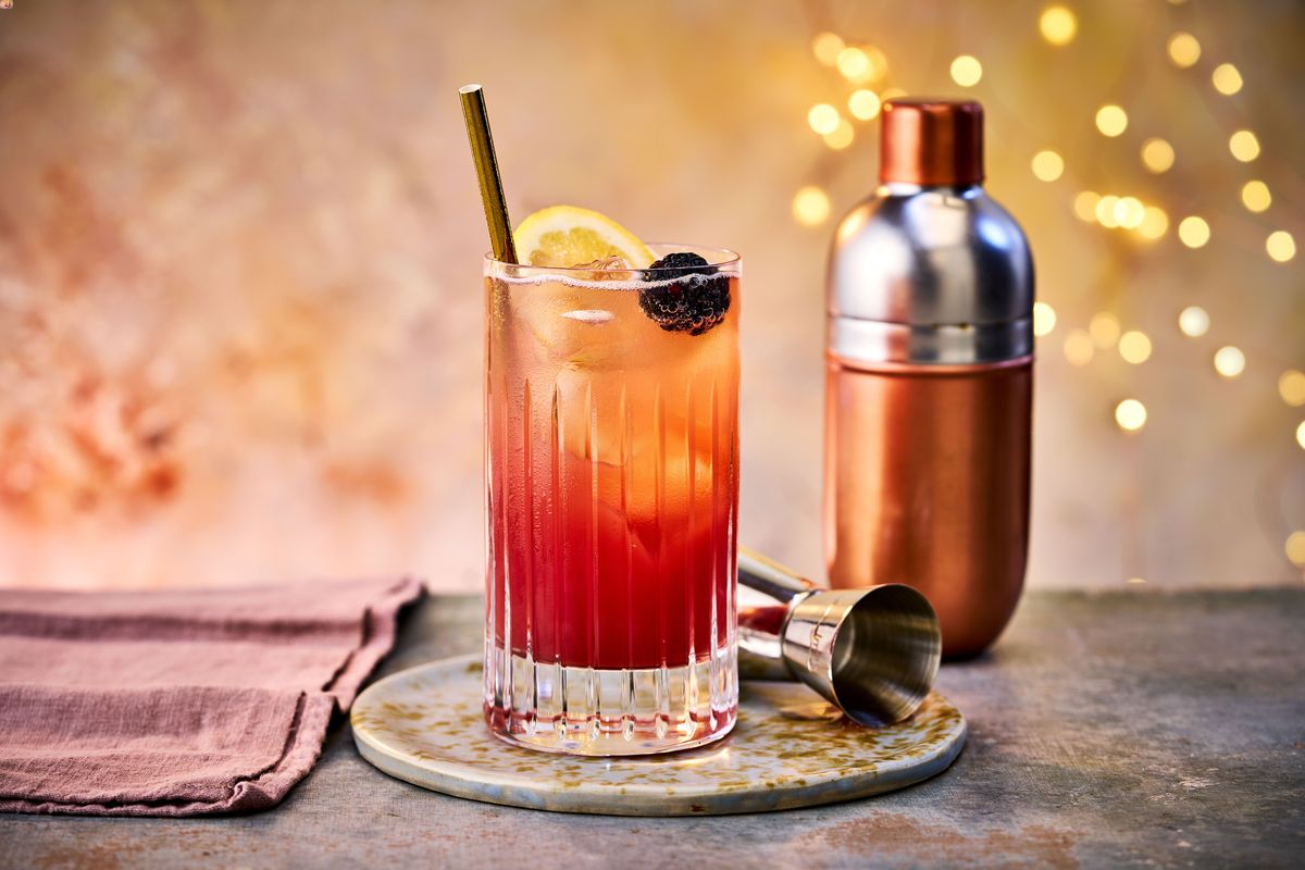 sloe-gin-fizz-cocktail-recipe